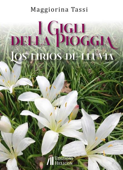 I gigli della pioggia-Los lirios de lluvia. Ediz. bilingue - Maggiorina Tassi - copertina