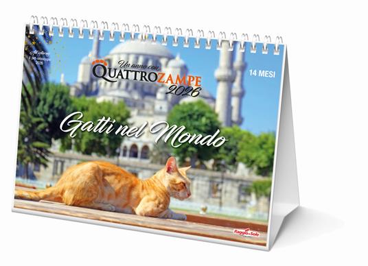 Gatti nel mondo. Calendario da tavolo 2026. 14 mesi - copertina