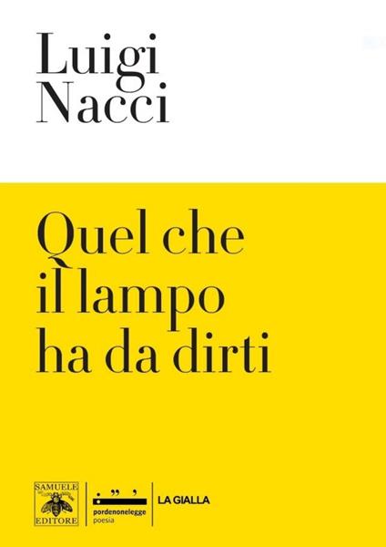 Quel che il lampo ha da dirti - Luigi Nacci - copertina