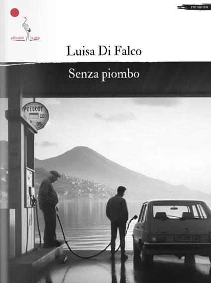 Senza piombo - Luisa M. Di Falco - copertina