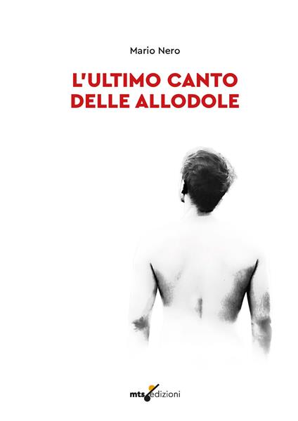 L'ultimo canto delle allodole - Mario Nero - copertina
