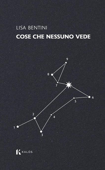 Cose che nessuno vede - Lisa Bentini - copertina