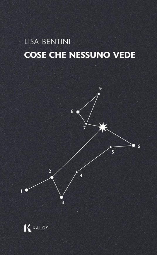 Cose che nessuno vede - Lisa Bentini - copertina