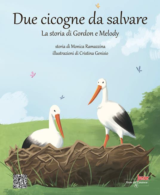 Due cicogne da salvare. La storia di Gordon e Melody. Ediz. illustrata - Monica Ramazzina - copertina