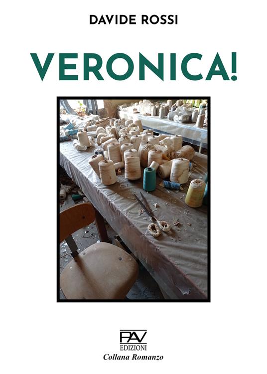 Veronica! - Davide Rossi - copertina