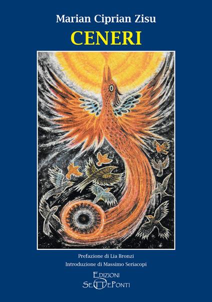 Ceneri - Marian Ciprian Zisu - copertina
