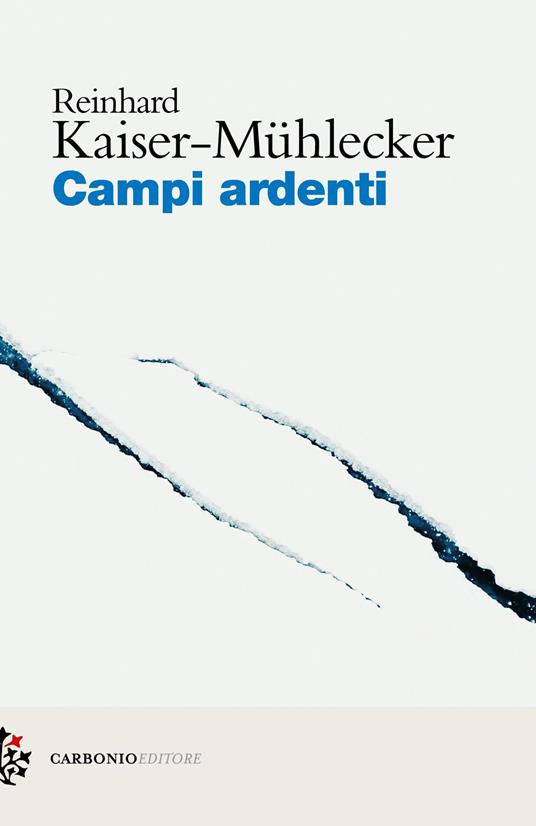 Campi ardenti - Reinhard Kaiser-Mühlecker - copertina