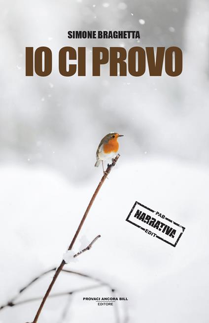 Io ci provo - Simone Braghetta - copertina