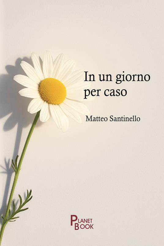 In un giorno per caso - Matteo Santinello - copertina