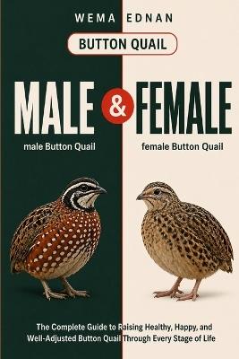 Button Quail: The Complete Guide to Raising Healthy, Happy, and Well-Adjusted Button Quail Through Every Stage of Life - Wema Ednan - cover