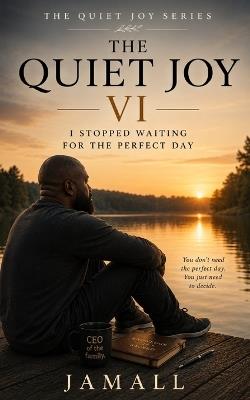The Quiet Joy VI: I Stopped Waiting for the Perfect Day - cover