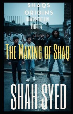 The Making of Shaq Bundle 4: 10-12: The final arc (for this season) of Shaq's Origins - New enemies. Higher stakes. No way out. - British urban crime fiction box set - Start reading now - Shah Syed - cover