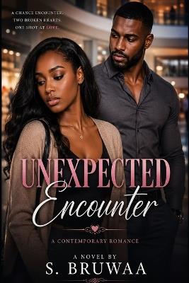 Unexpected Encounter - S Bruwaa - cover