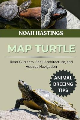 Map Turtle: River Currents, Shell Architecture, and Aquatic Navigation - Noah Hastings - cover
