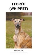 Lebreu (Whippet)