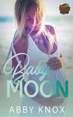 Babymoon - Abby Knox - cover