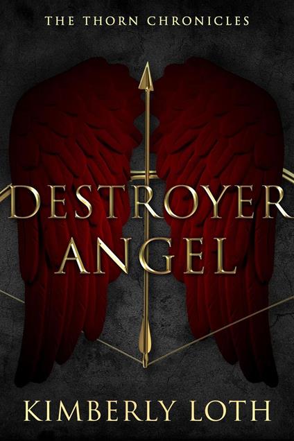 Destroyer Angel - Kimberly Loth - ebook