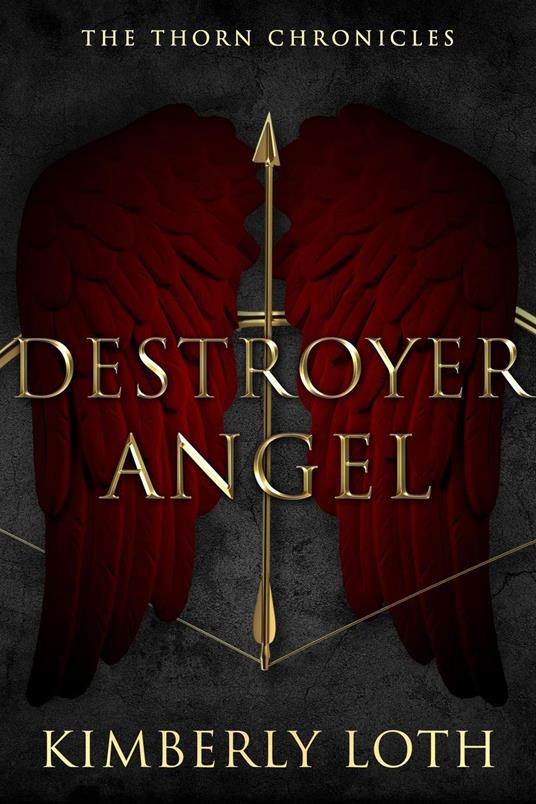 Destroyer Angel - Kimberly Loth - ebook