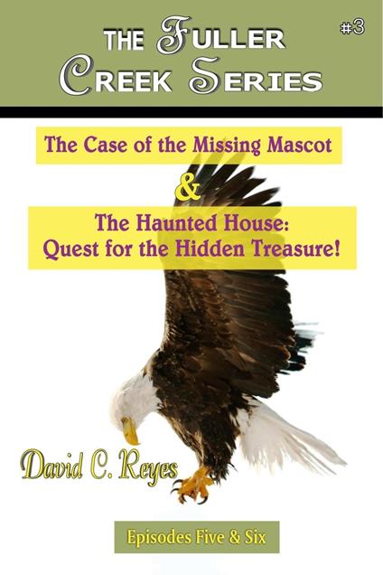 The Case of the Missing Mascot & The Haunted House: Quest for the Hidden Treasure! - David C. Reyes - ebook