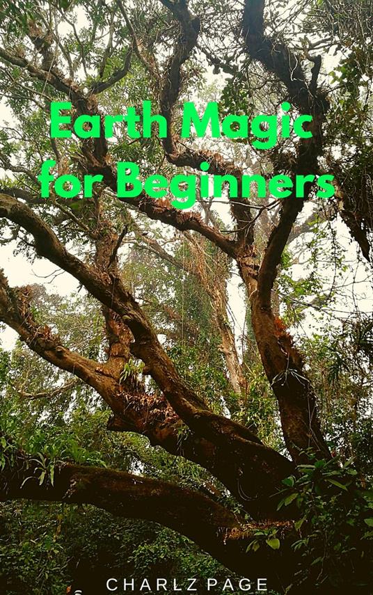 Earth Magic for Beginners