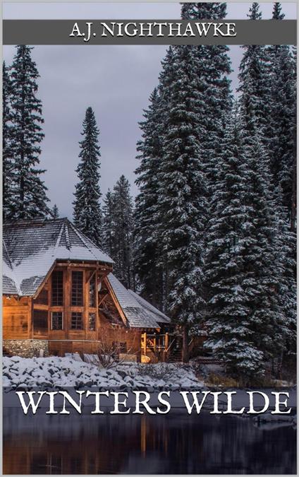Winters Wilde - A.J. Nighthawke - ebook