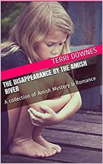 The Disappearance By The Amish River