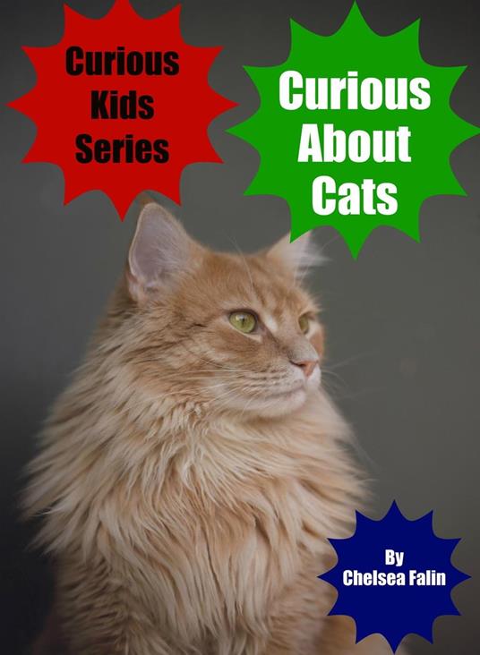 Curious About Cats - Chelsea Falin - ebook
