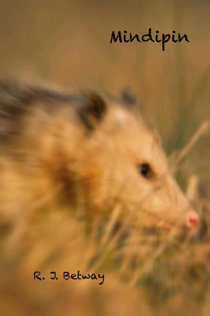 Mindipin - R. J. Betway - ebook