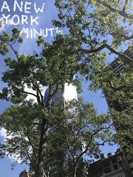 A New York Minute