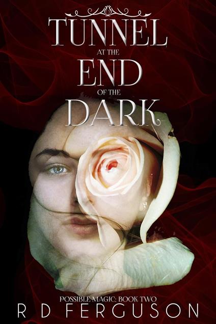 Tunnel at the End of the Dark - R D Ferguson - ebook