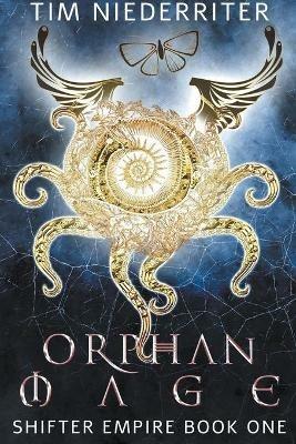 Orphan Mage - Tim Niederriter - cover
