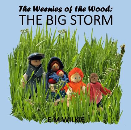 The Big Storm - E. M. Wilkie - ebook