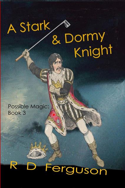 A Stark and Dormy Knight - R D Ferguson - ebook