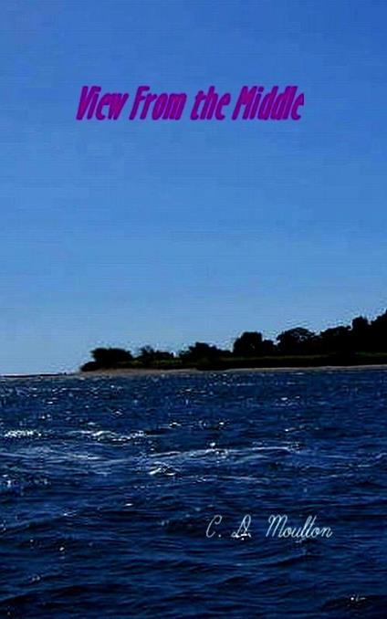 View from the Middle - C. D. Moulton - ebook