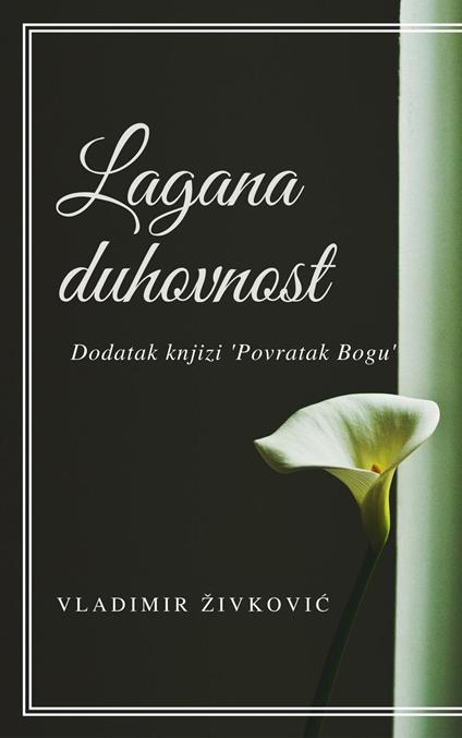 Lagana duhovnost: dodatak knjizi "Povratak Bogu" - Vladimir Živkovic - ebook