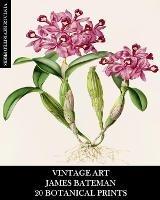 Vintage Art: James Bateman: 20 Botanical Prints: Orchid Ephemera for Framing, Home Decor, Collage and Decoupage - Vintage Revisited Press - cover