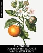 Vintage Art: Pierre-Joseph Redoute: 20 Botanical Prints