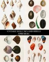 Vintage Molluscs and Shell Ephemera: Conchology Decorative Paper for Collages, Decoupage and Junk Journals - Vintage Revisited Press - cover