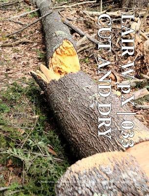 LAIR W pX 033 Cut and Dry - Wetdryvac - cover