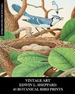 Vintage Art: Edwin L Sheppard:40 Botanical Bird Prints: Ornithology Ephemera for Framing, Home Decor and Collages