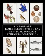 Vintage Art: James Ellsworth De Kay: New York Zoology: Ephemera Collection