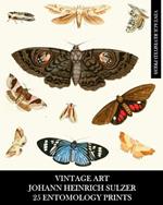 Vintage Art: Johann Heinrich Sulzer: 25 Entomology Prints: Insect Ephemera for Framing, Home Decor, and Collages