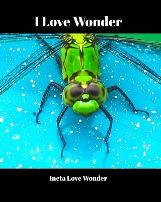 I Love Wonder - Ineta Love Wonder - cover