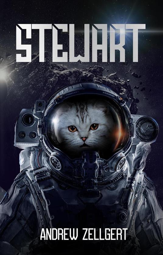 Stewart - Andrew Zellgert - ebook