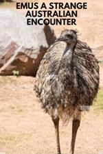 Emus A strange Australian encounter
