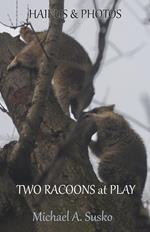 Haikus and Photos: Two Racoons at Play