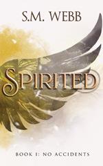 Spirited: No Accidents
