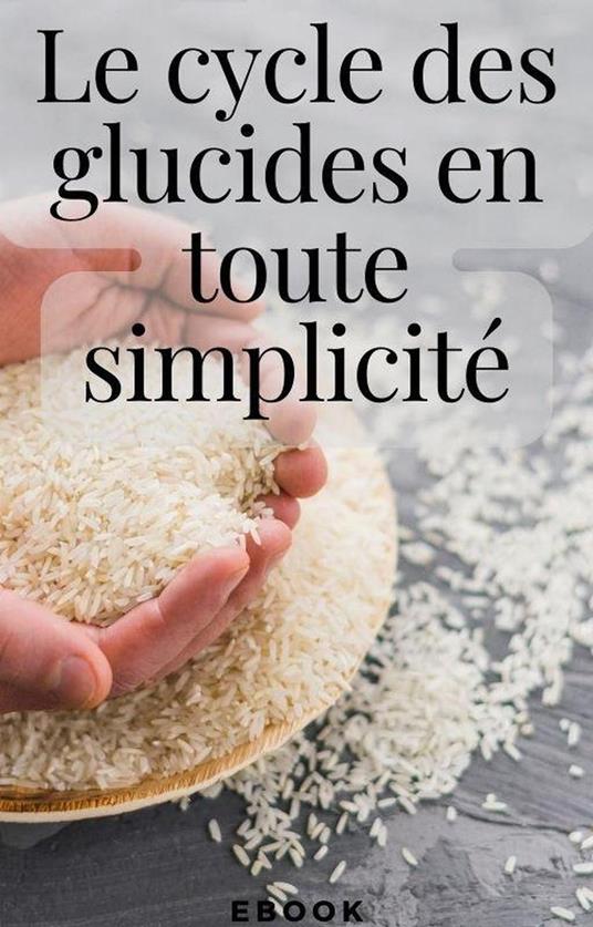 Le cycle des glucides en toute simplicité