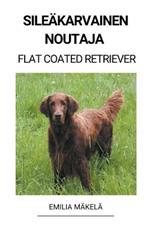 Sileakarvainen Noutaja (Flat Coated Retriever)
