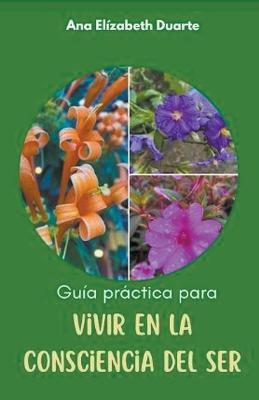 Guia practica para vivir en la Consciencia del Ser - Ana Elizabeth Duarte Hernandez - cover